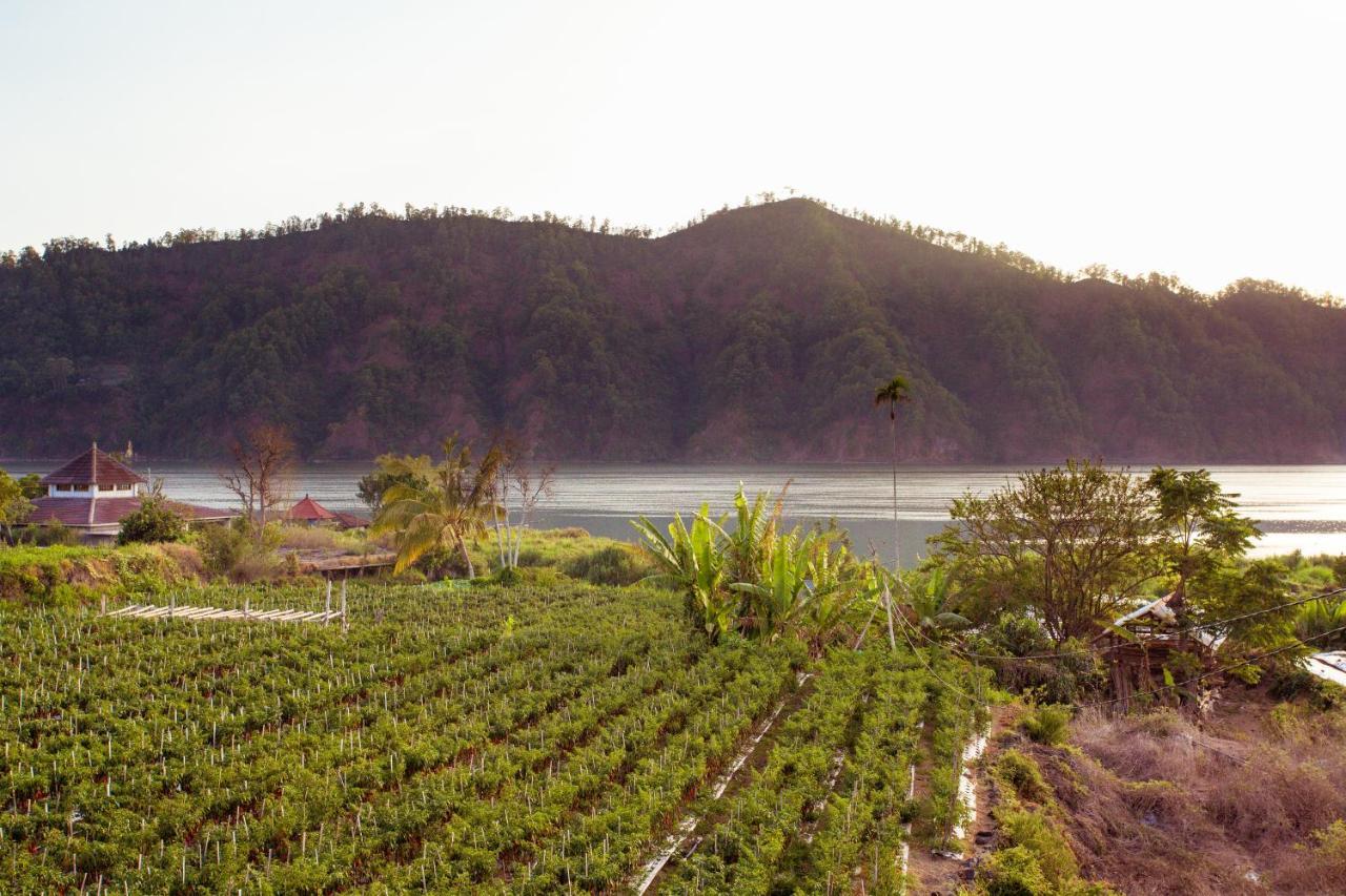 Villa Jempana Kintamani 외부 사진